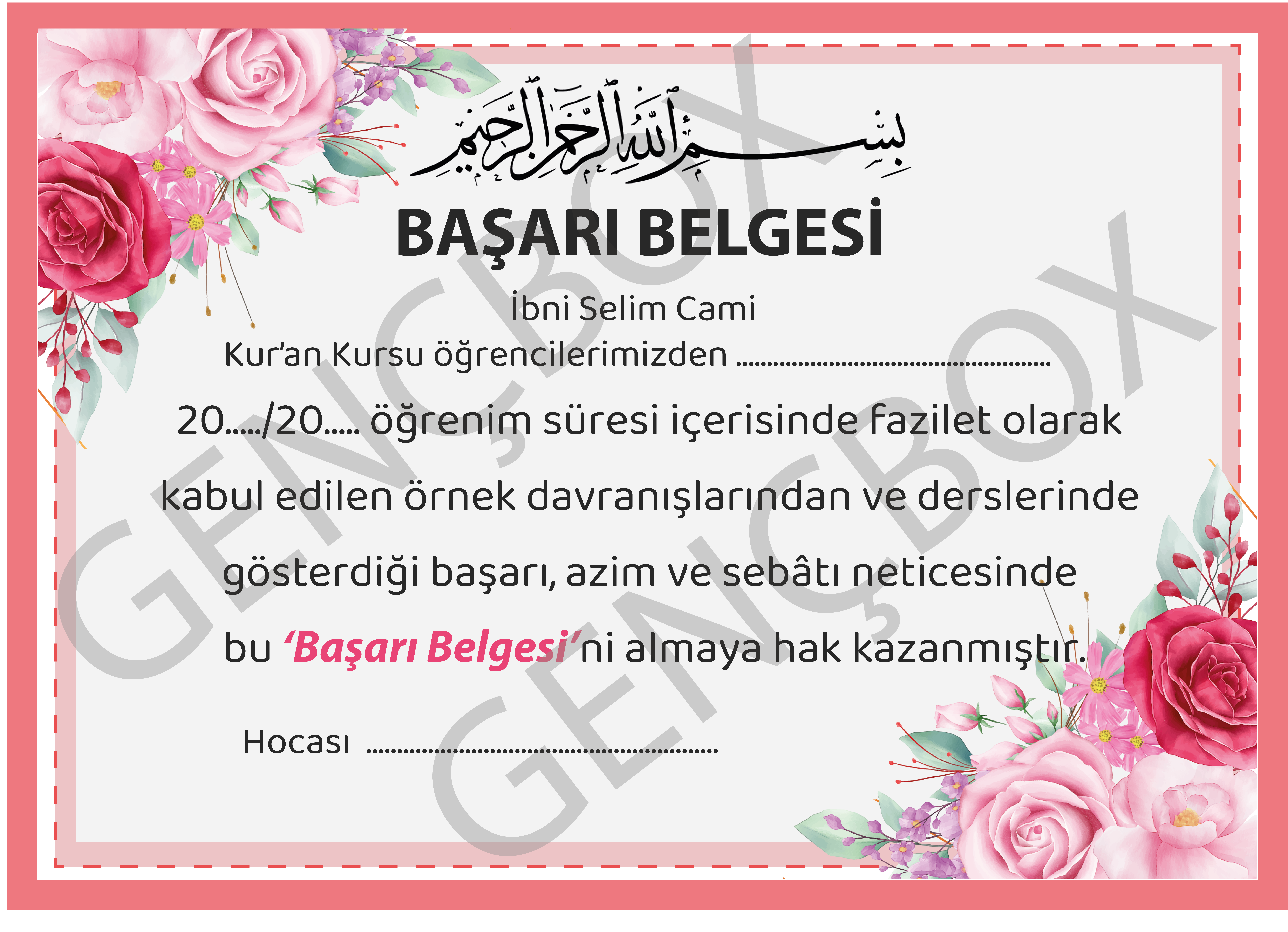 Başarı Belgeleri ve Plaket